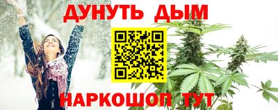мет Дубна
