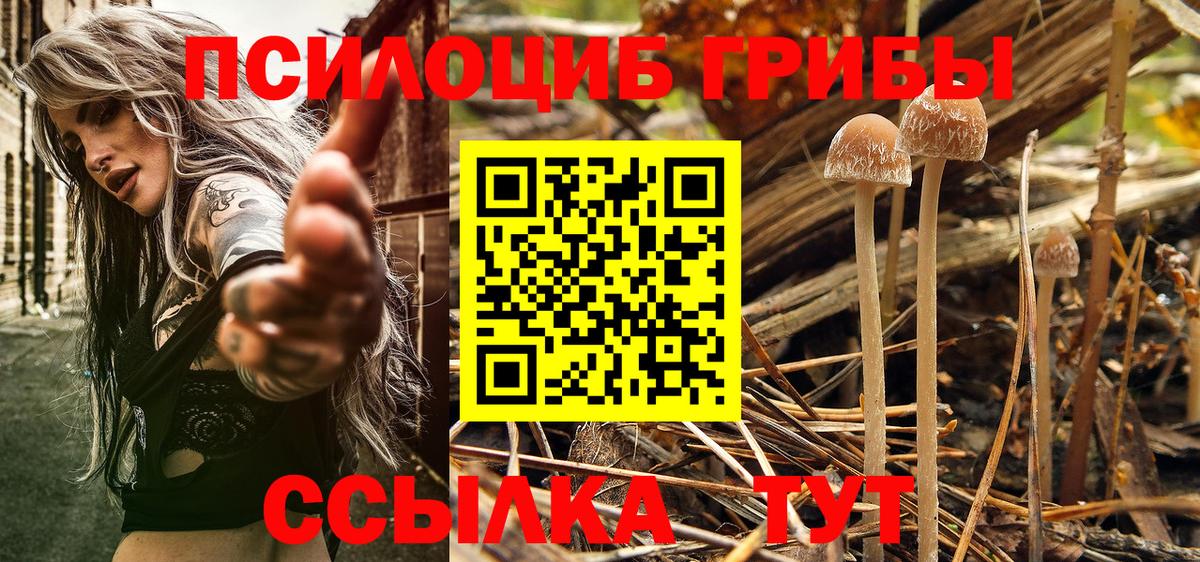 Галлюциногенные грибы MAGIC MUSHROOMS Луга