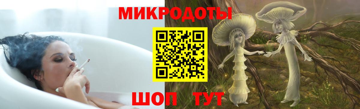 Луга  Псилоцибиновые грибы Psilocybine cubensis  Вход с VPN 