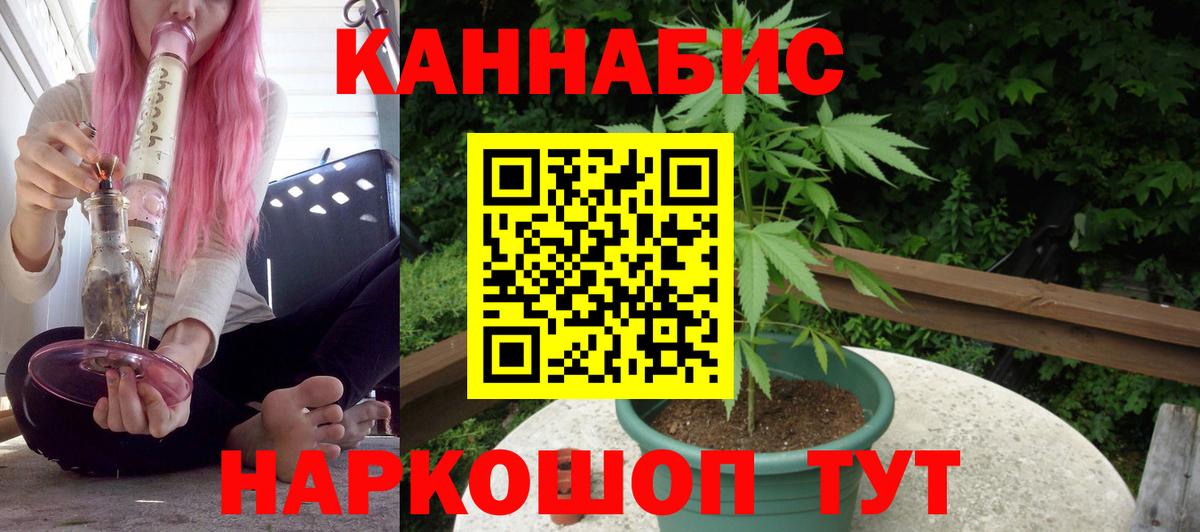 Конопля план  Каннабис MAZAR  Бошки Шишки планчик  Вход с VPN  Луга 